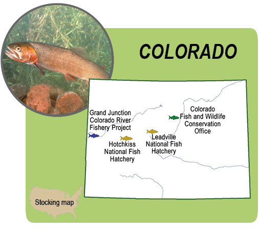 Cutthroat trout, Colorado map